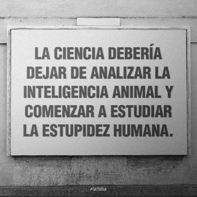 Tarea científica