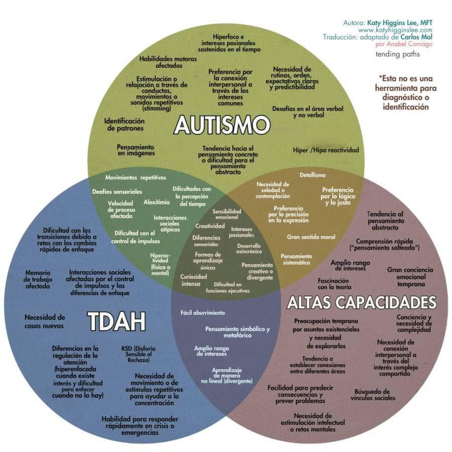 Características e Intersecciones entre Autismo, TDAH y Altas Capacidades